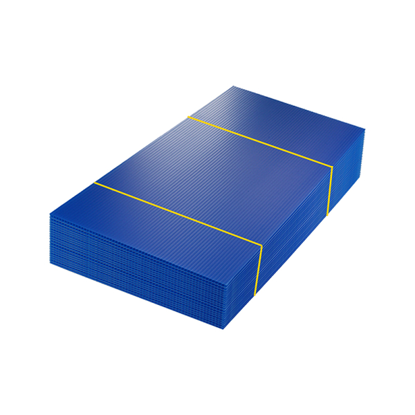 단프라 보양재 플라베니아 청색  20장